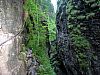 IMG_6563.JPG